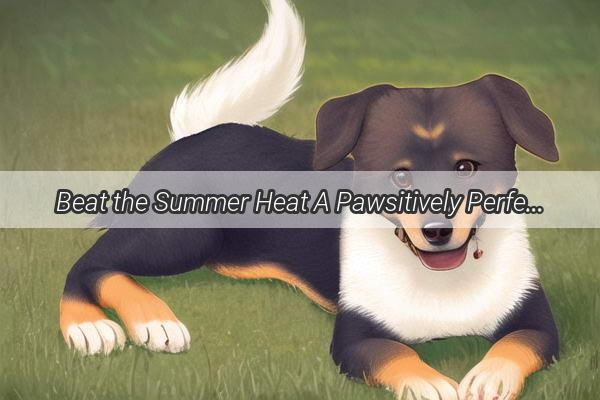 Beat the Summer Heat A Pawsitively Perfect Bathing Guide for Your Furry Friend